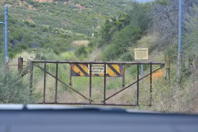 DSC_6903 (Large).JPG